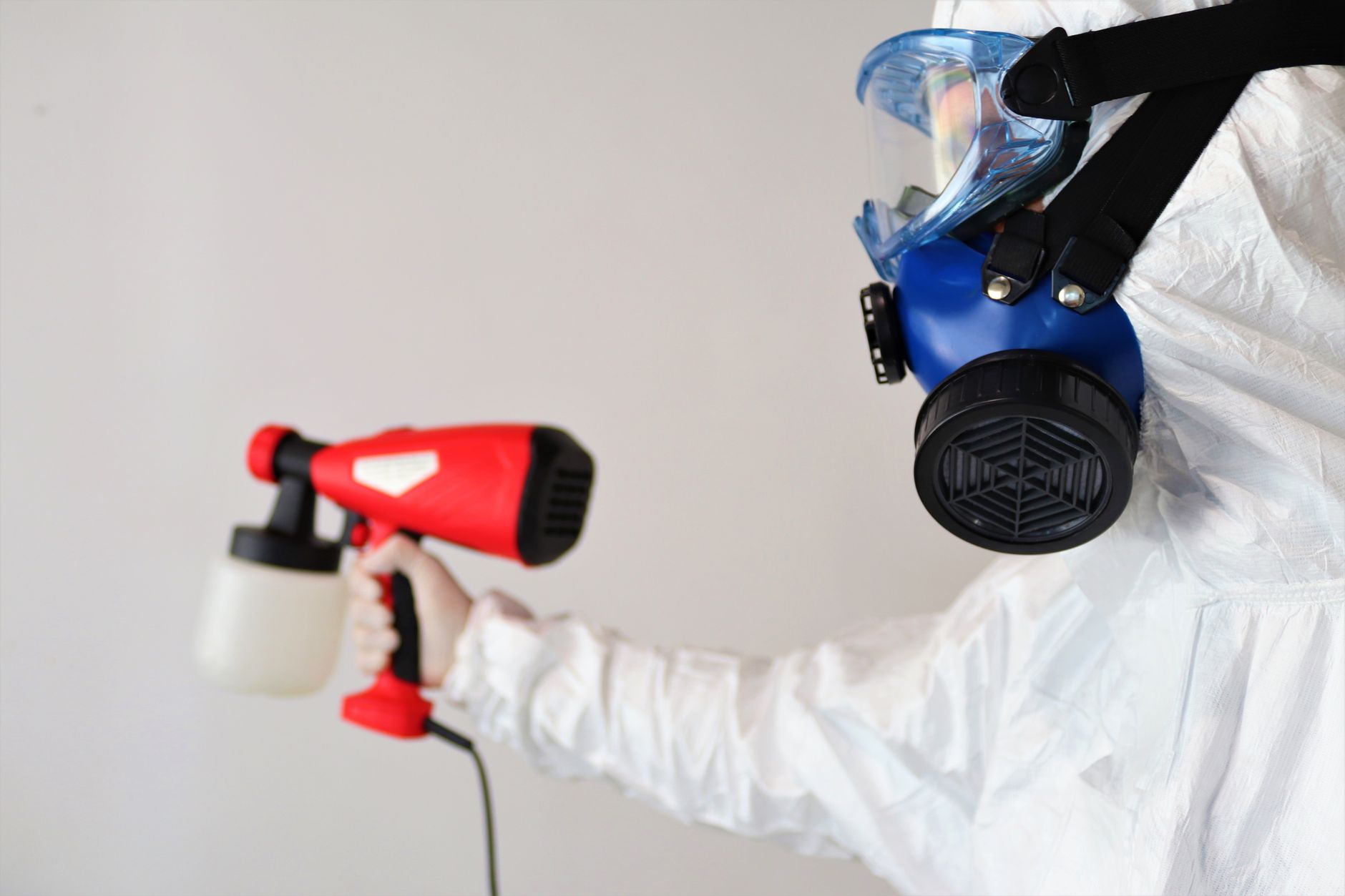 Ant Control — Neill's Pest Control