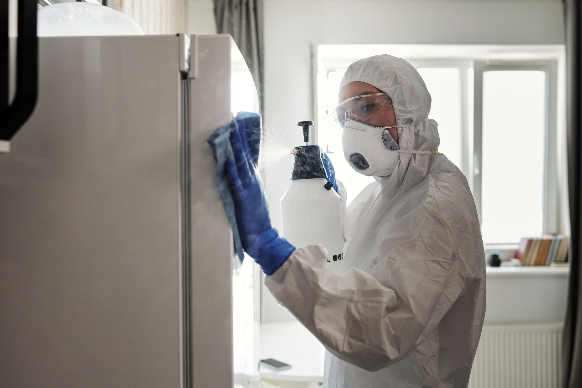 Wasp Removal — Neill's Pest Control